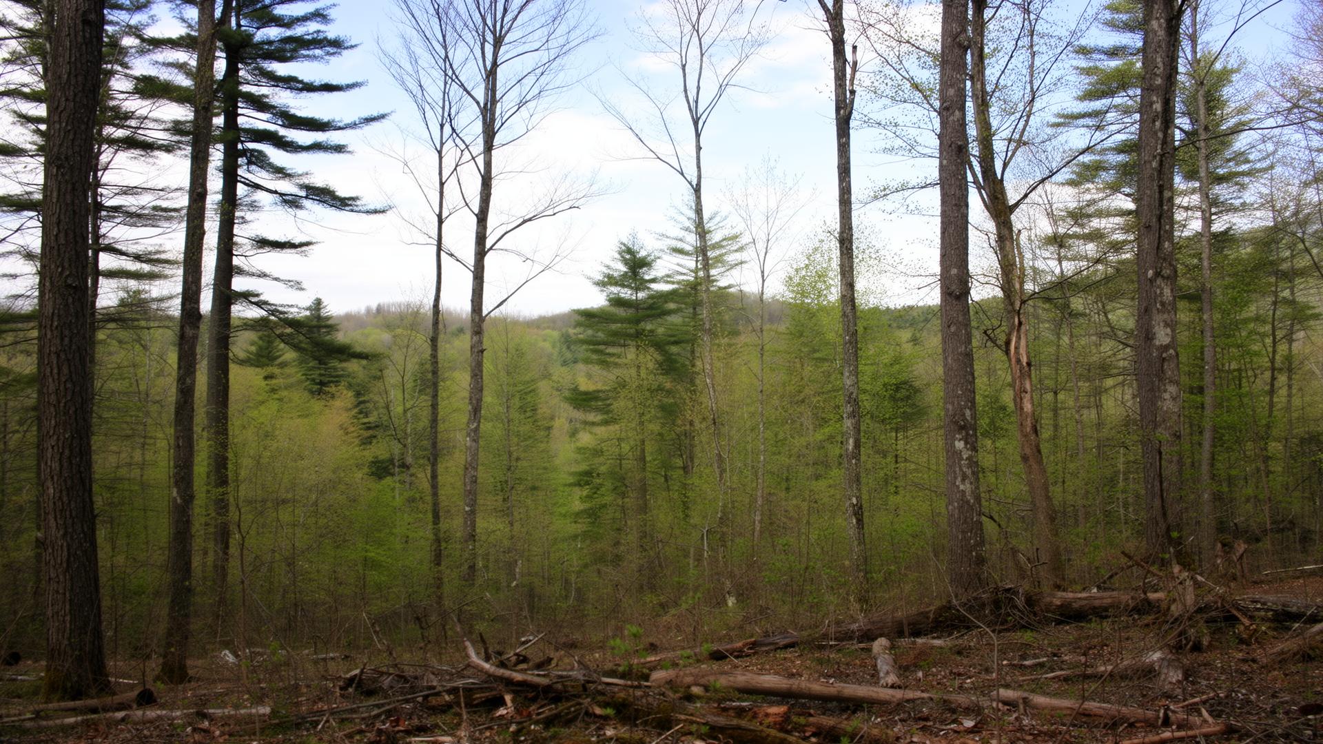 Pocono Farms East wooded residential community